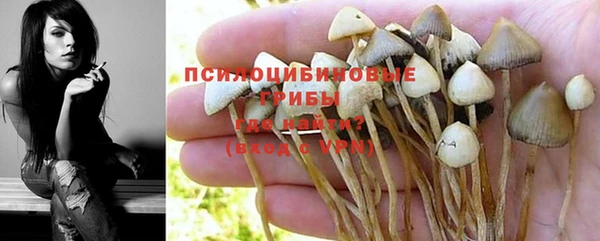 дурь Богородицк