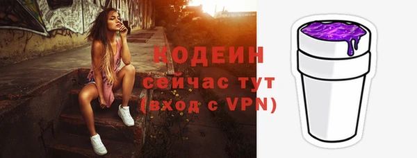 хмурый Белокуриха