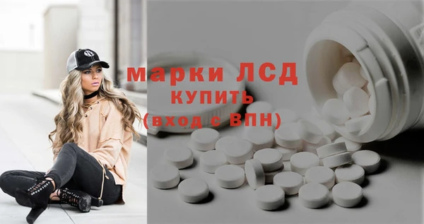 стаф Богородск