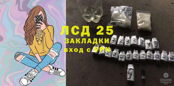 стаф Богородск