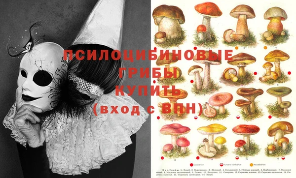 мефедрон Богданович