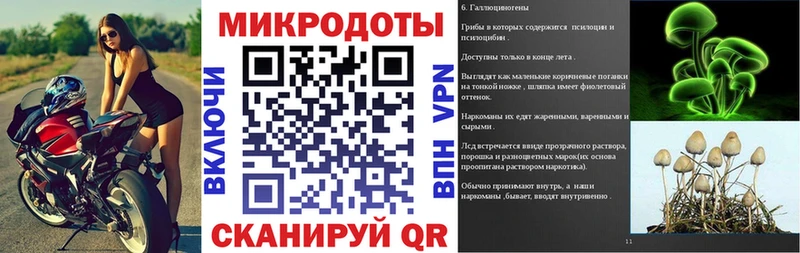 Псилоцибиновые грибы Cubensis  Мирный 