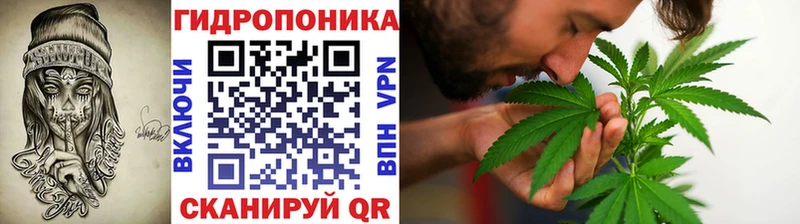 Бошки Шишки сатива  Мирный 